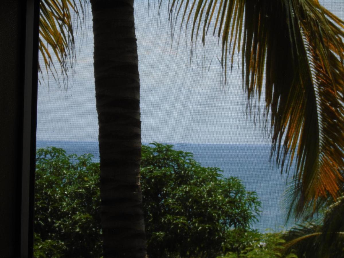 Cabanas Eda Villa Puerto Escondido  Ngoại thất bức ảnh